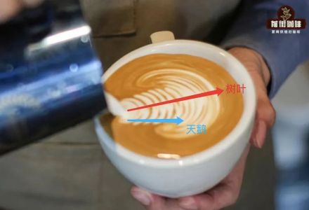 Italian Coffee Latte Art Swan Pattern Tutorial: Step-by-Step Guide to Swan Latte Art