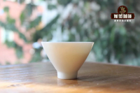 How Different Cup Rim Shapes Affect the Taste and Mouthfeel of Pour-Over Coffee