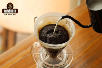 Can You Use Milk to Brew Pour-Over Coffee? What Temperature Should Milk Be for a Latte? How to Add Milk to Pour-Over Coffee and What's the Ratio?