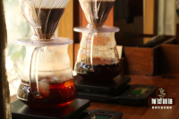 How Much Water Should You Pour for Pour-Over Coffee? What's the Ideal Coffee-to-Water Ratio for Great Taste?