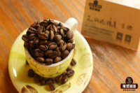 Introduction to Famous Panamanian Geisha Estates: Flavor Characteristics of Elida Estate Geisha Coffee