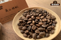 Arabica vs Robusta: What's the Difference and Are Robusta Beans Harmful?