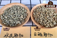 What Is Yirgacheffe Coffee and Who Is It Suitable For? Flavor Characteristics of Washed Yirgacheffe Coffee
