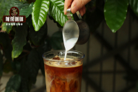 Can I Add Milk to Iced Americano? What's the Difference Between Americano and Latte?