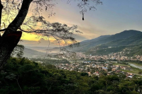 Introduction to Bolivian Coffee Bean Varieties, Characteristics, and History - Waliki Estate Elevation and Flavor Description