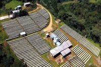 Introduction to Yirgacheffe: Ethiopia's Premier Coffee Region