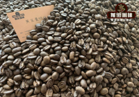 Golden Mandheling Coffee Beans: Flavor Profile, Processing Method, Variety, Taste, Grind Characteristics Guide