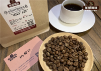 Kochere Washed Coffee Region Story and Flavor Characteristics in Yirgacheffe