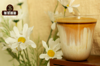 Can You Drink Bock Milk Directly? Is Making Dirty Coffee with Bock at Home Difficult?