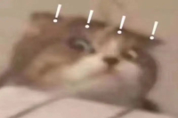 A Popular Coffee Shop Fined 25,000 Yuan for Using Coffee Beans from Unverified Sources