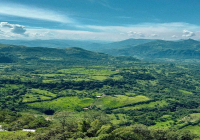 Historical Origins and Cultural Stories of Colombian Coffee Beans