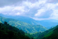 What's the Difference Between Jamaica Blue Mountain Coffee and Papua New Guinea Typica Coffee?