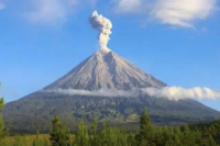 What are the Characteristics of Indonesian Coffee and How are Green Beans Classified?