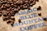 Types of Blue Mountain Coffee