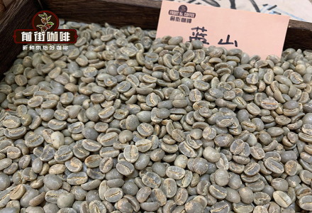Blue Mountain Coffee Bean Grading｜What are the Flavor Characteristics of Blue Mountain Geisha Coffee?