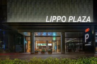 Counterfeit Coffee?! Blue Mountain Isn't Blue Mountain, Geisha Isn't Geisha...