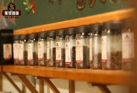 Can Fresh and Stale Single-Origin Coffee Beans Be Brewed Together? What to Consider When Brewing Coffee?