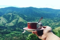 Indonesia 2021 First Cup of Excellence Competition Results Announced