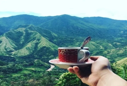 Indonesia 2021 First Cup of Excellence Competition Results Announced
