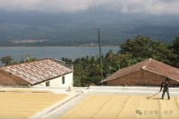 Guatemala Coffee | Introduction to New Oriental Region Geisha Coffee Beans