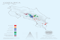 Costa Rican Coffee Beans | Introduction to Mozart Specialty Coffee Growing Region - Musician Series Coffee Bean Flavor Descriptions