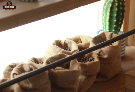 What is Blend Coffee Beans? Espresso Blend Coffee Bean Formula Espresso Coffee Bean Aging Time