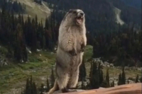 What is High Concentration, Low Extraction in Coffee Brewing? How to Extract Non-Bitter Coffee?