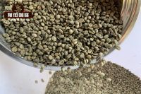 Characteristics of Yunnan Coffee: Geographical Conditions and Overall Flavor - How to Brew Yunnan Small-Bean Coffee for the Best Taste?