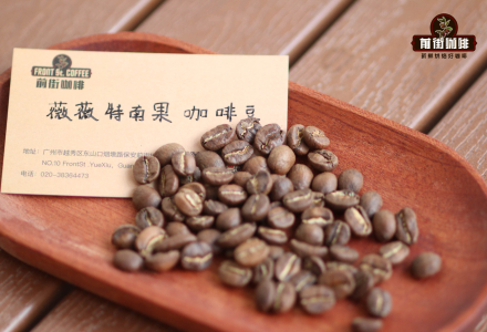 Coffee from Central and South America: Guatemala's Eight Major Coffee Growing Regions - Bean Varieties, Flavor Profiles, Grading System and Stories