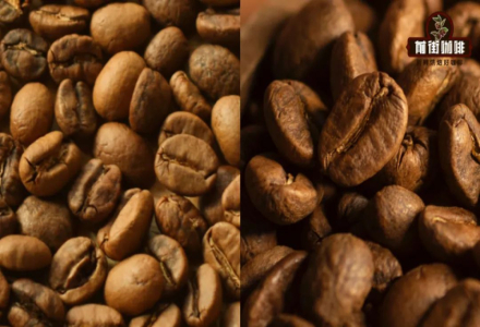 What are the F1 and H1 coffee varieties in Costa Rica's Musician Series?