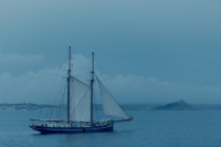 Will Coffee Bean Transport Return to the Age of Discovery to Ensure Everyone Gets Their Coffee?