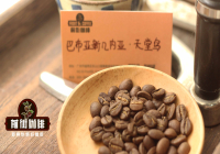 Introduction to Papua New Guinea Coffee Bean Varieties and Island Nation Coffee Growing Conditions