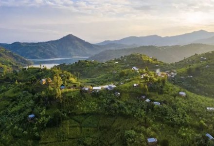 African Coffee-Producing Countries Beyond Kenya and Ethiopia (Part 1)
