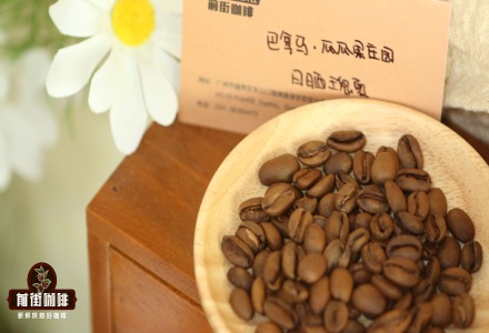 Flavor Profile and Brewing Parameters for Panama BOP Champion Finca Guadelupe Natural Process Geisha Coffee Beans