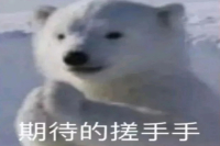 Panama Hartmann Estate Single-Origin Bean Differences, Distinctions, and Awards