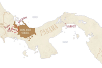 Where Do the World's Top Coffees Originate? An Introduction to Panama's Premium Coffee Estates