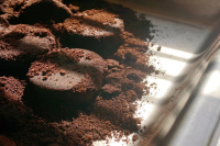 What are the uses of coffee grounds? Can coffee grounds be put directly in flower pots/applied to dark circles under the eyes?