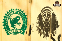 How to Make Coffee Beans: Is Blue Mountain Coffee Good? What Type of Coffee Does Blue Mountain Use?