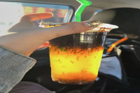 Takeout Coffee Filled with Ants?! Restaurant Responds They Gave the Wrong Order