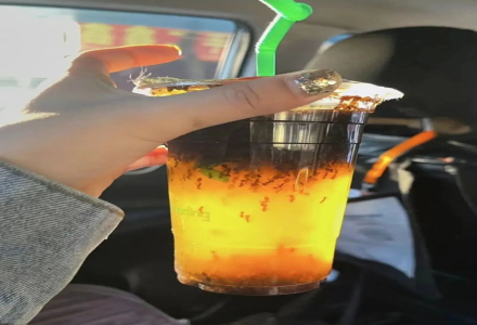 Takeout Coffee Filled with Ants?! Restaurant Responds They Gave the Wrong Order