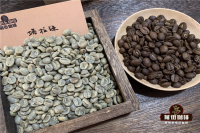 Flavor Profile Introduction of Costa Rica Tarrazu Coffee Bean Region - Honey Process Pour-Over Coffee Taste