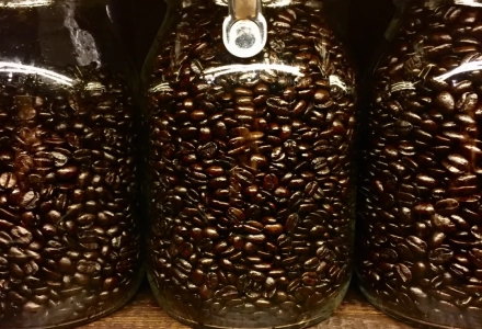 Is Oily Coffee Bean Stale? Are Oily Coffee Beans Normal? How to Brew Without Bitterness?