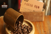 How to Define Single-Origin Coffee Beans: Costa Rica Raisin Honey Process Geisha Blend Brewing Guide