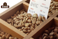 Kenyan Coffee Grading, Characteristics of Kenyan AA Coffee, What is the Flavor of Kenyan Coffee Beans