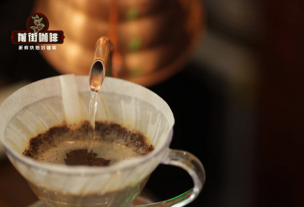 Costa Rican Tarrazú Coffee Beans Flavor and Characteristics Introduction to Raisin Honey Process Mozart Coffee Beans