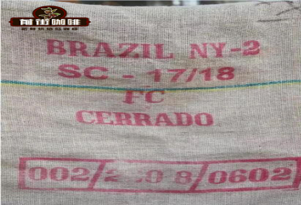 Flavor Profile Description of Brazilian Coffee Beans, What Makes Brazilian Coffee Beans Delicious, and Introduction to Brazil's Grading System