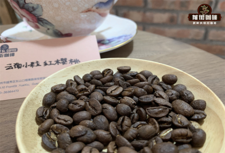 Is Yunnan Small Bean Coffee an Arabica? Yunnan Coffee Varieties, Growing Regions, and Flavor Characteristics