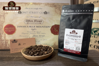 Which Country Produces Blue Mountain No.1 Coffee - Brewing Characteristics, Flavor Profile and Taste Description of Blue Mountain Coffee Beans