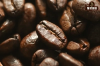 Why Are Coffee Beans Always Oily? Are Oily Coffee Beans Not Fresh? Are Oily Coffee Beans of Higher Quality? What's the Difference Between Dark Roast and Light Roast Coffee?