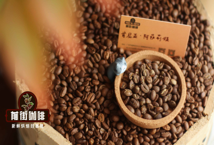 Specialty Coffee Kenya Coffee Flavor Floral Aroma Description | Which Brewing Method is Best for Kenya Coffee Beans?